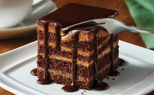Chocolate Lasagna